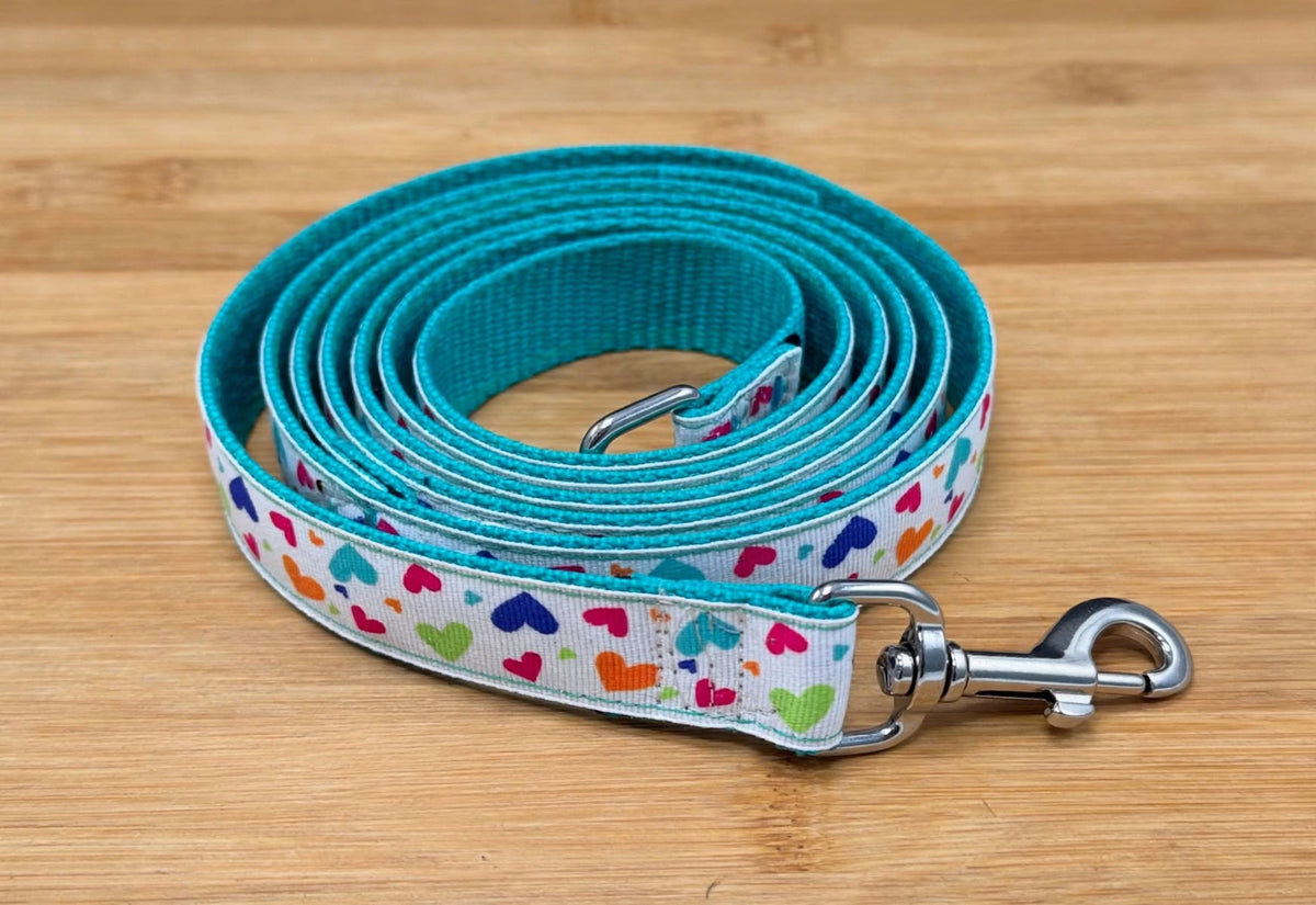 "Heart Explosion" Handmade leash
