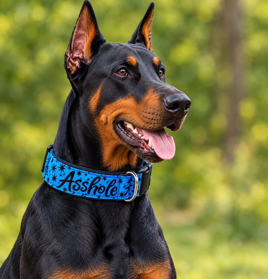 "Asshole Blue" Handmade Collar