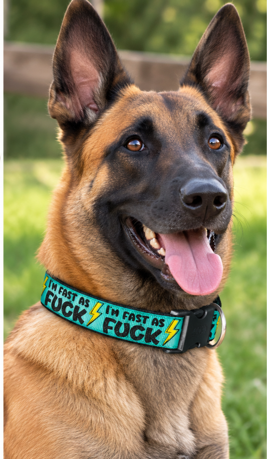 "Fast as Fuck" Handmade Collar