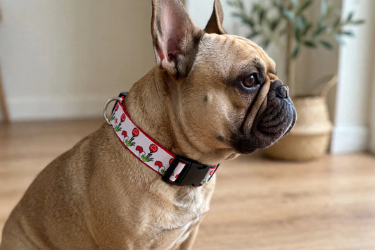 "Grinchy Hand" Handmade Collar