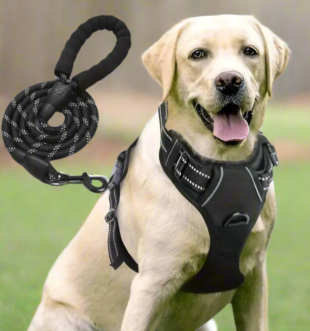 2 piece harness bundle