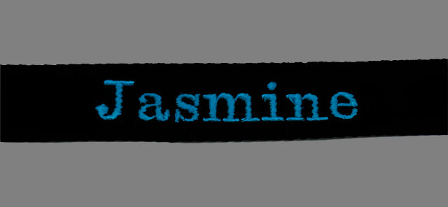 Personalized Embroidered  Collars
