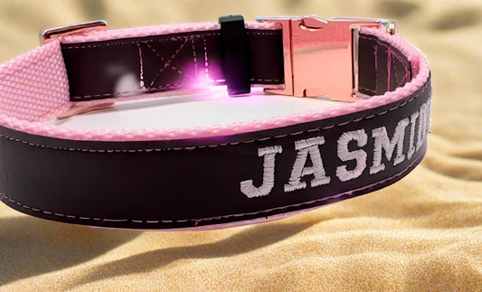 Personalized Embroidered  Collars
