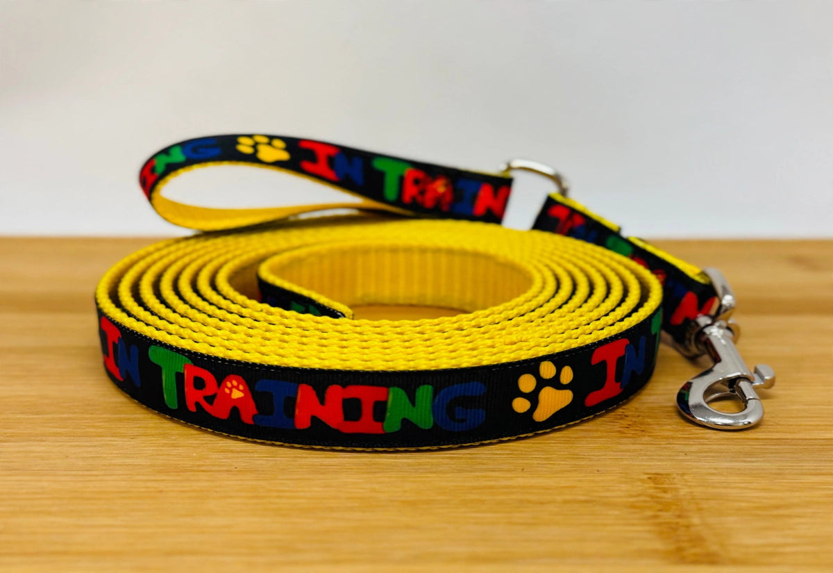 "In Training" Handmade leash