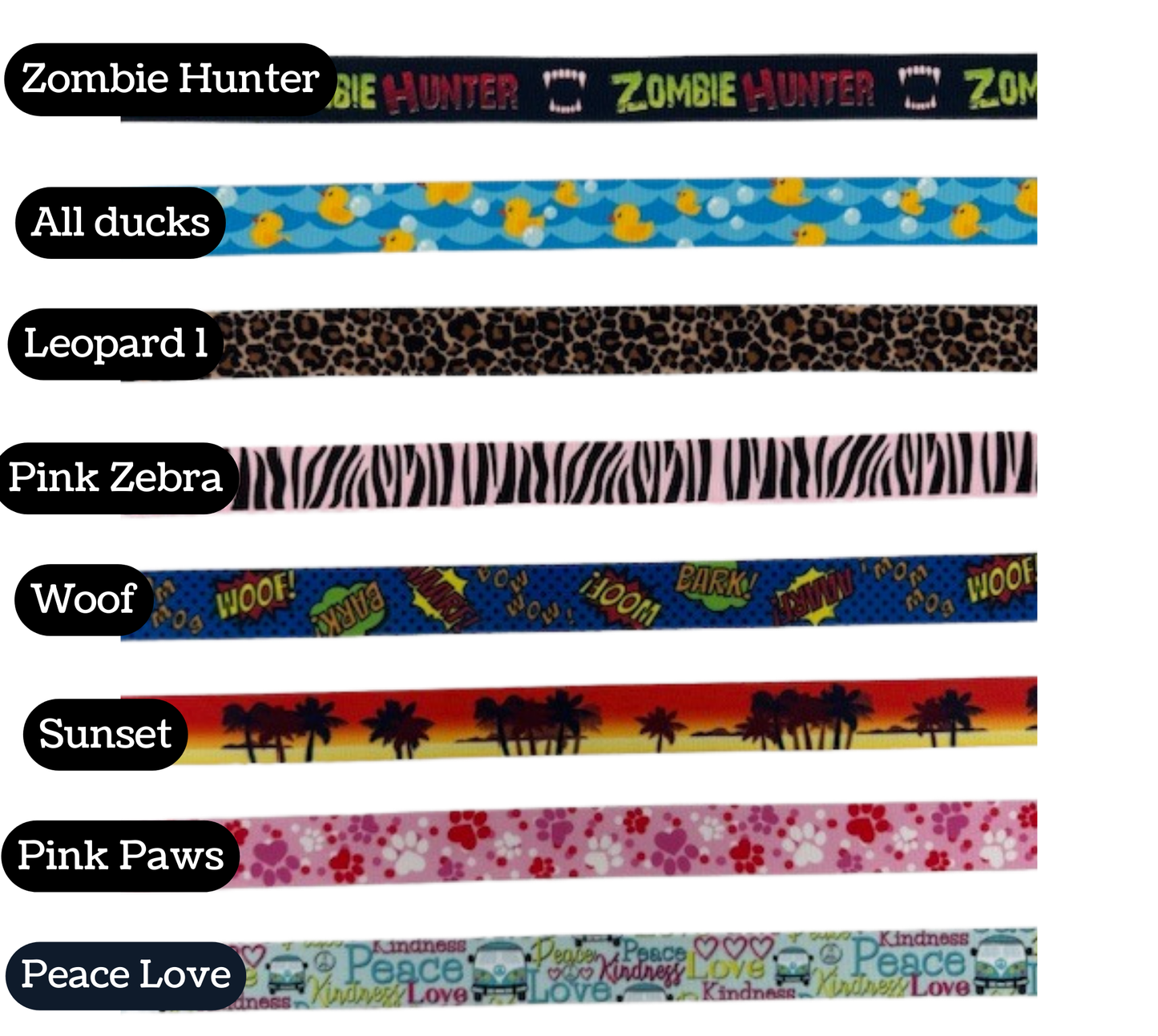 Stylish Collars and Leashes