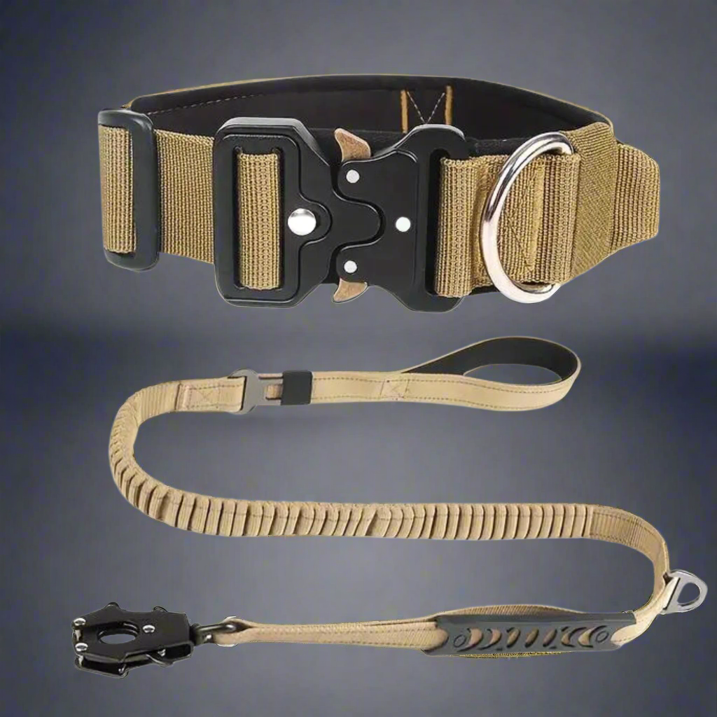 Tactical Collars & Leashes