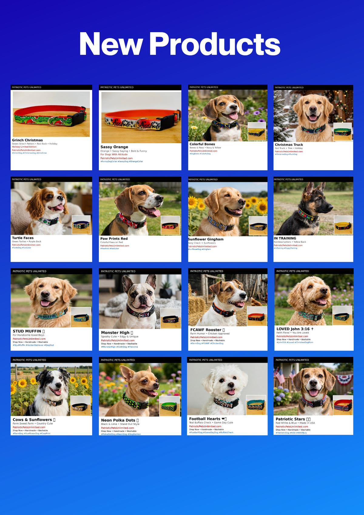 Stylish Collars and Leashes