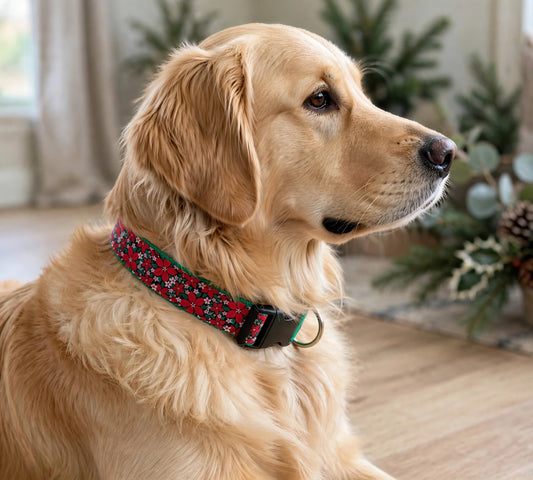 "Poinsettia " Handmade Collar