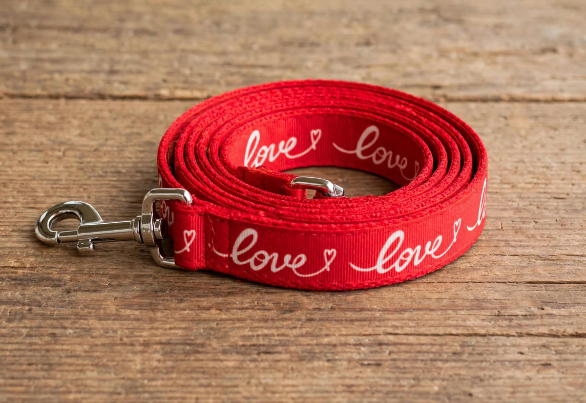 " Red Love" Handmade leash