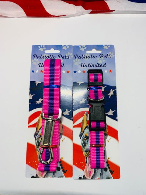 Leash Collar Combo