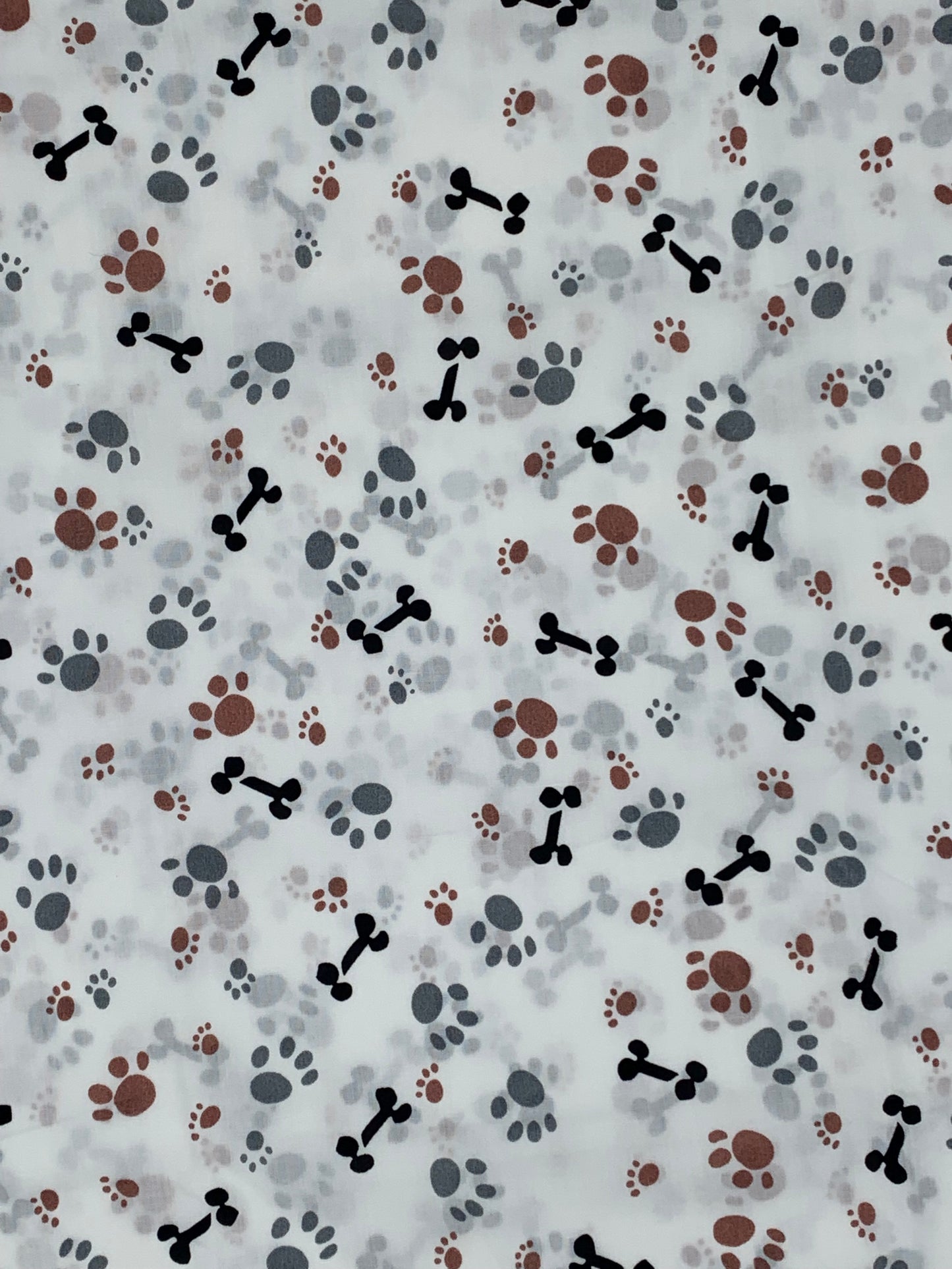 White Paws and Bones-Collars and Leashes