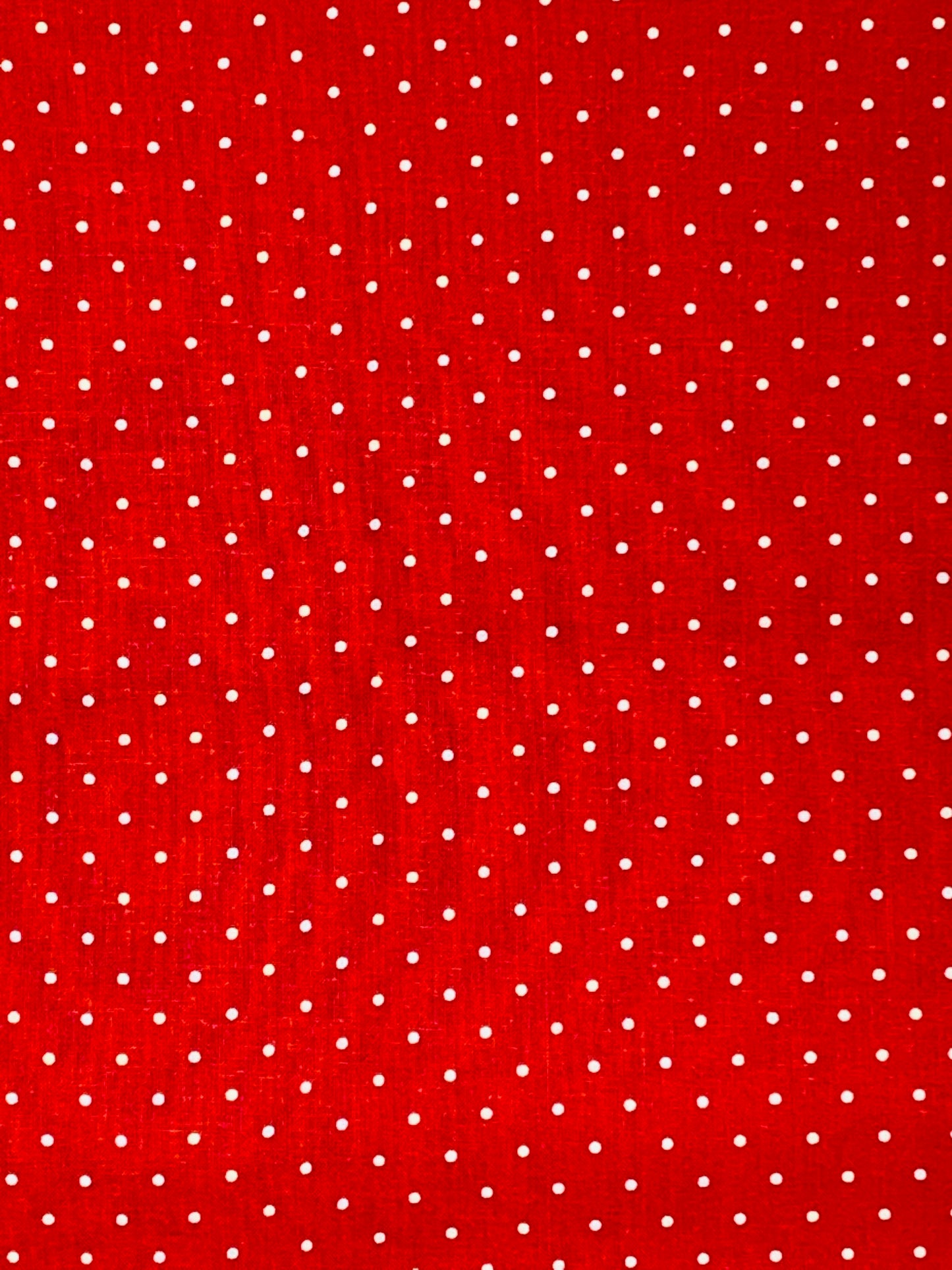 White Pin Dot-Collars and Leashes