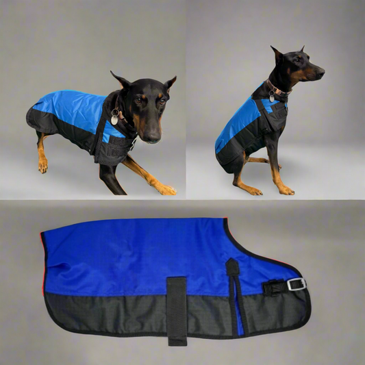 Sport Dog Blanket 600