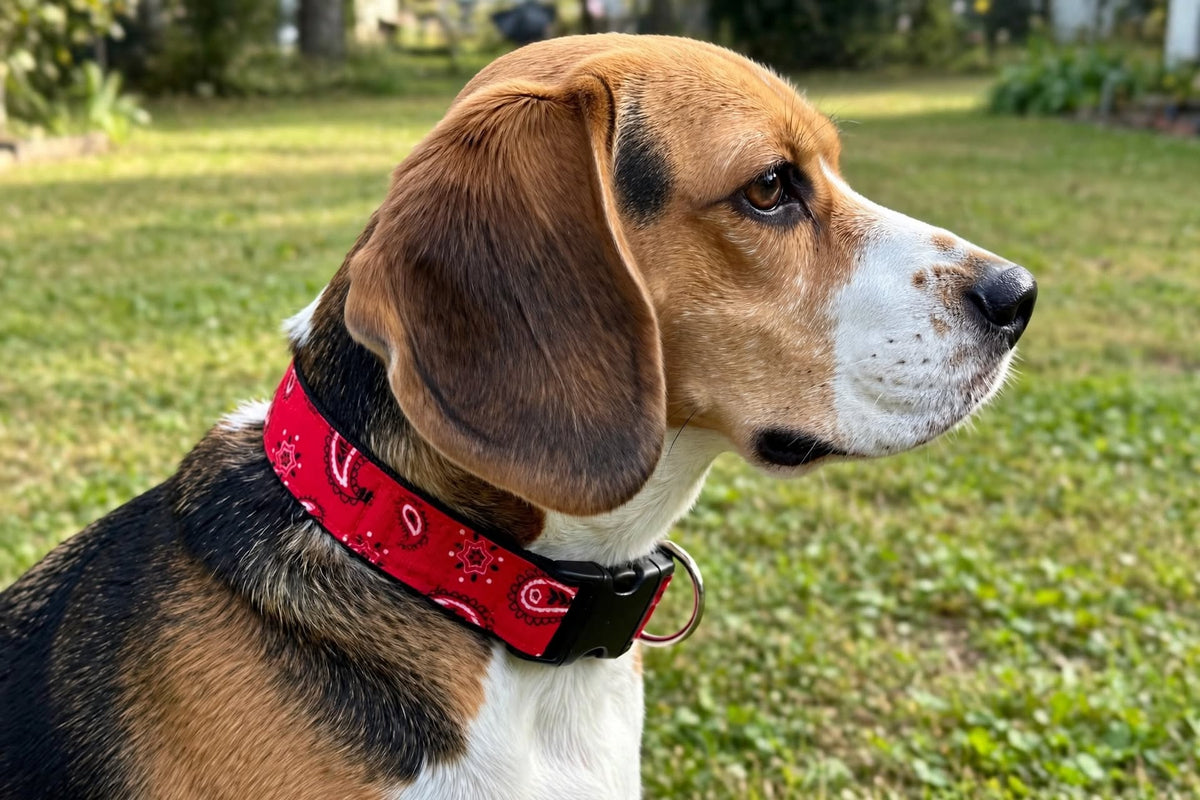 "Red Bandana" Handmade Collar