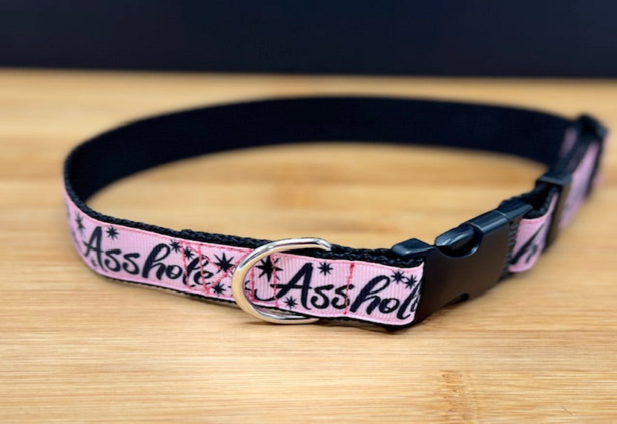 "Pink Asshole" Handmade Collar