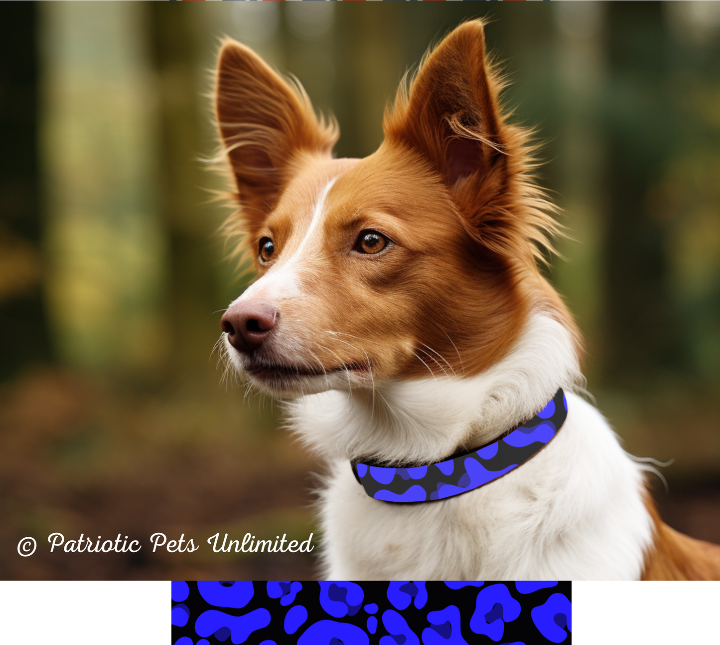 Blue Leopard Designer Collar