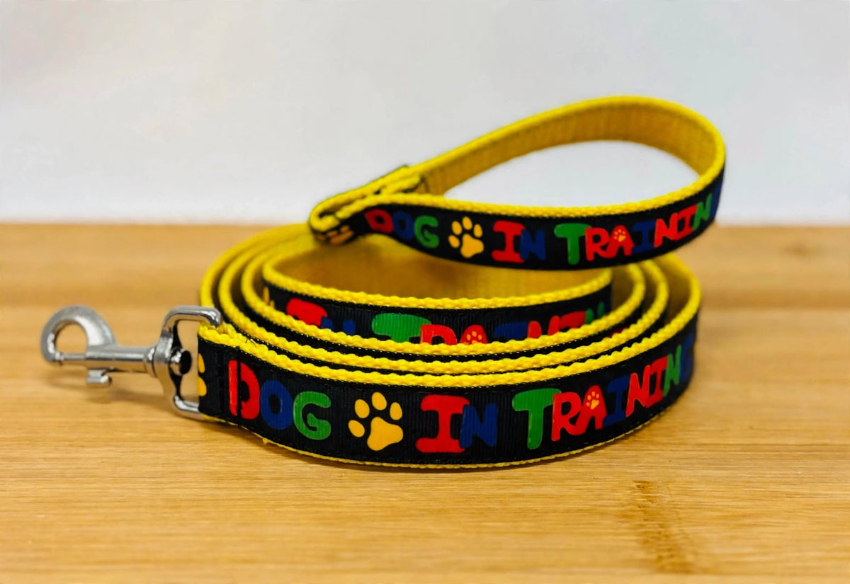 "In Training" Handmade Leash