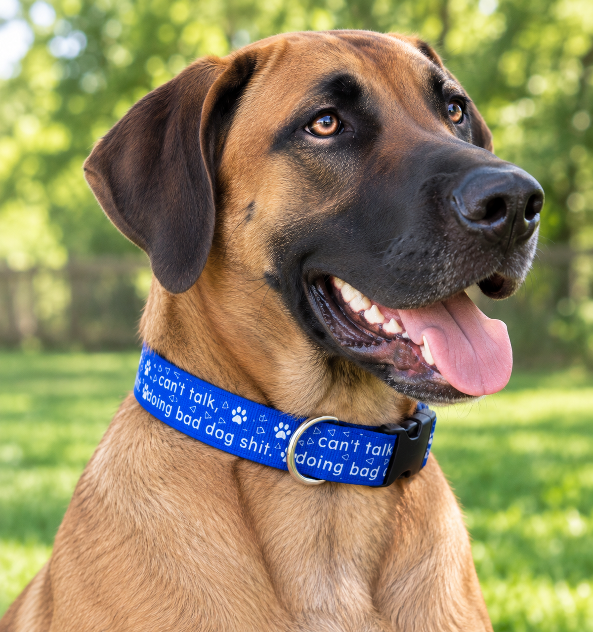 "Can't Talk Doing Bad Dog Shit" Handmade Collar