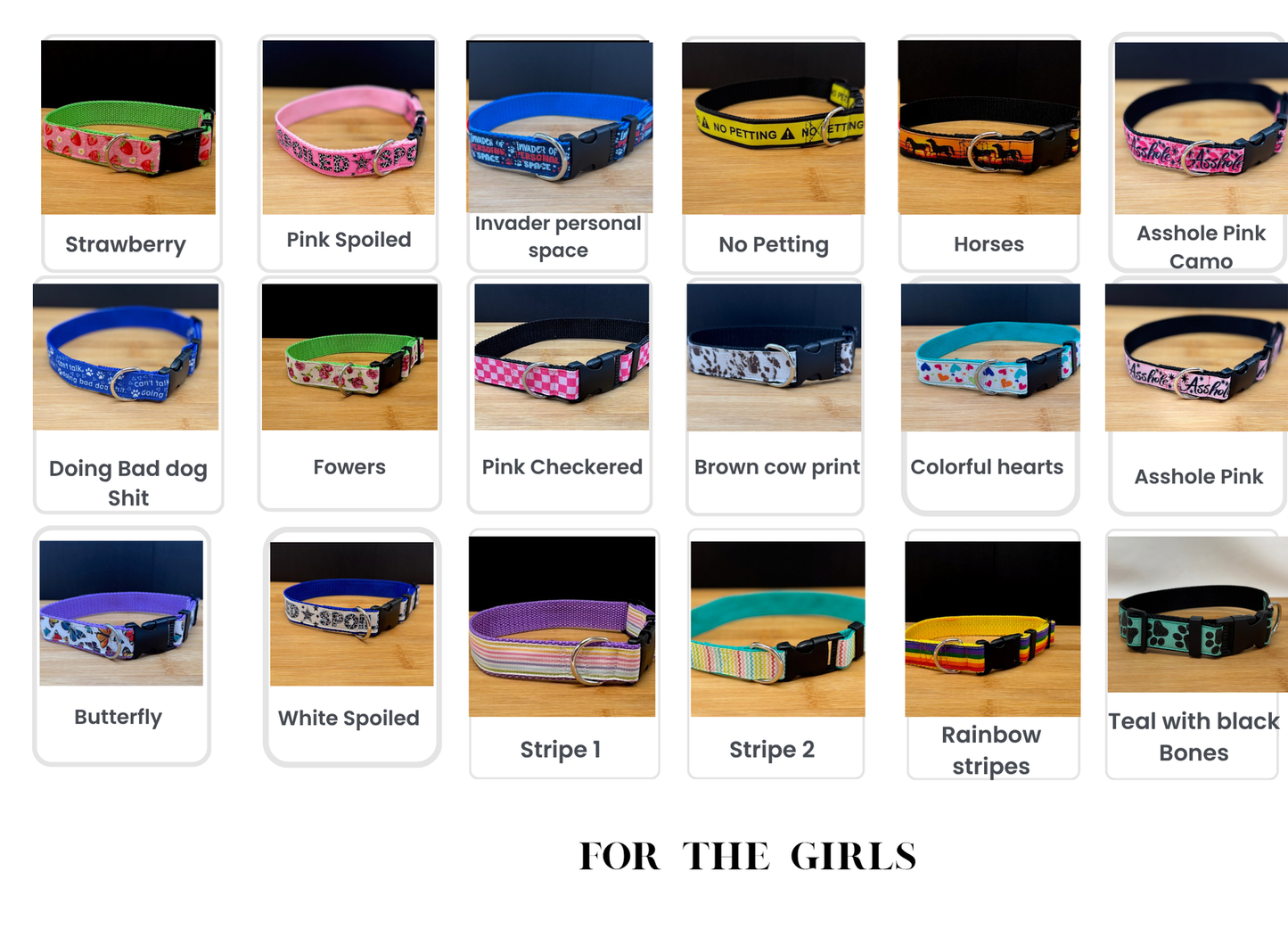 Stylish Collars and Leashes