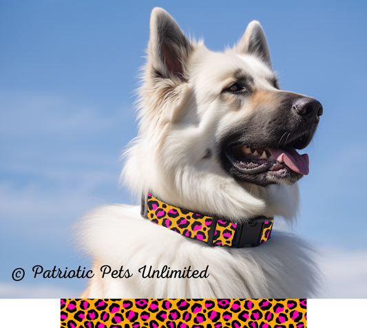 Colorful Leopard Designer Collar