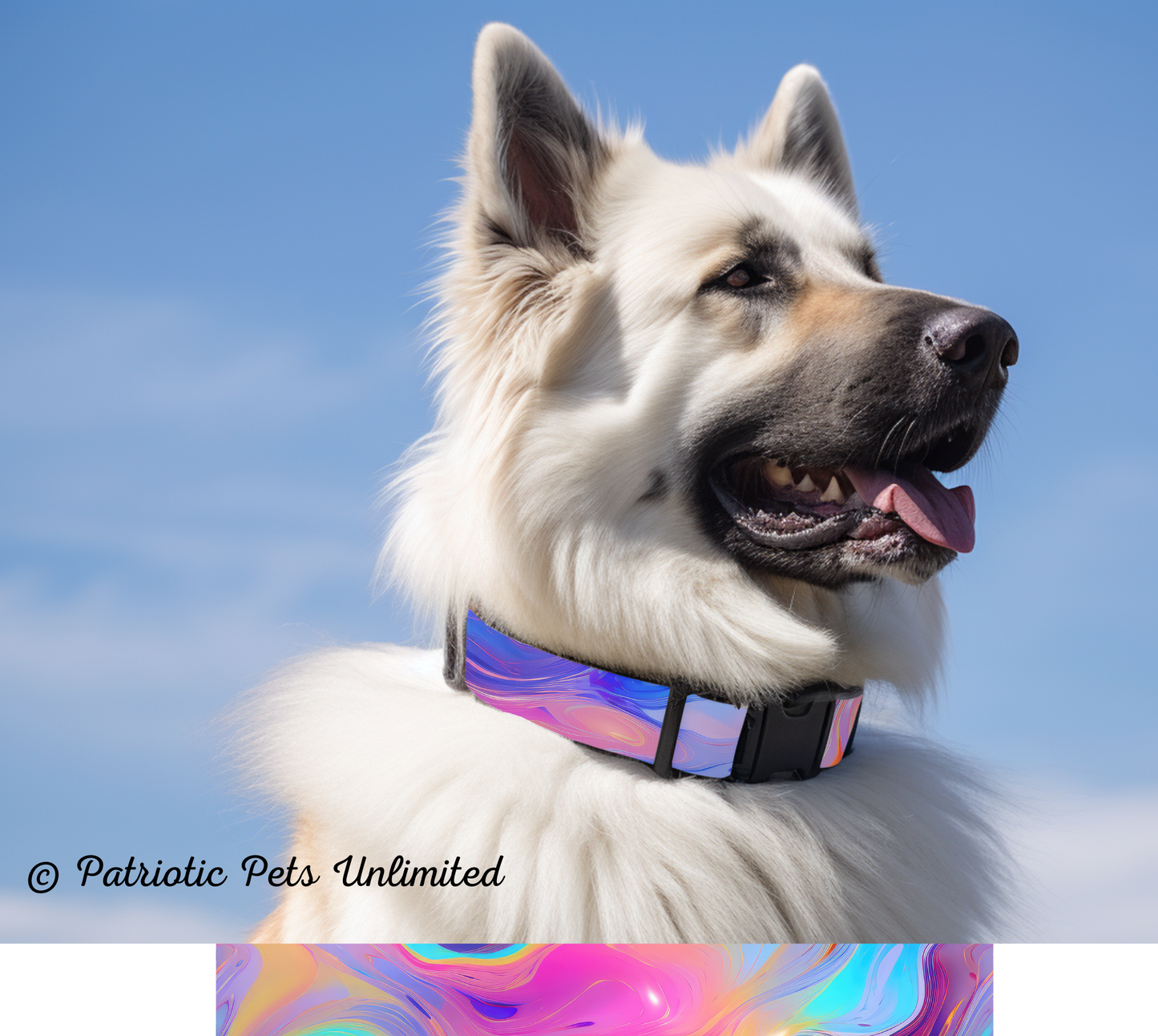 Colorful Swirls Designer Collar