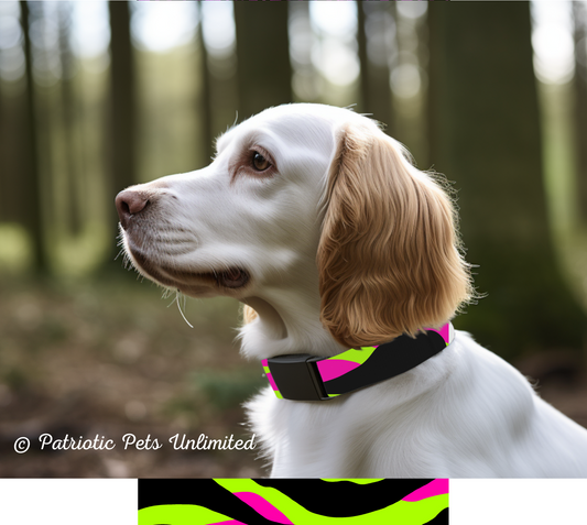 Colorful Waves Designer Collar