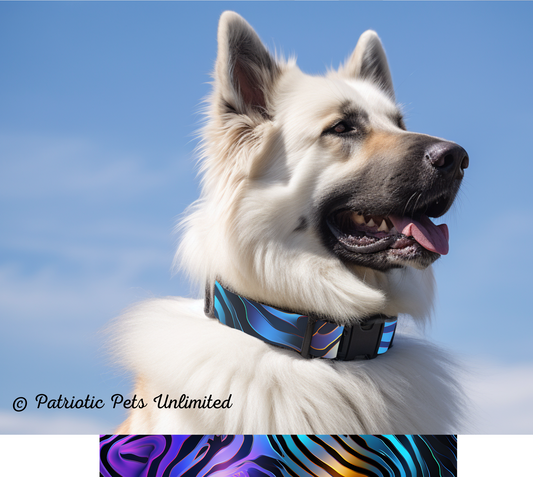 Colorful Zebra Designer Collar