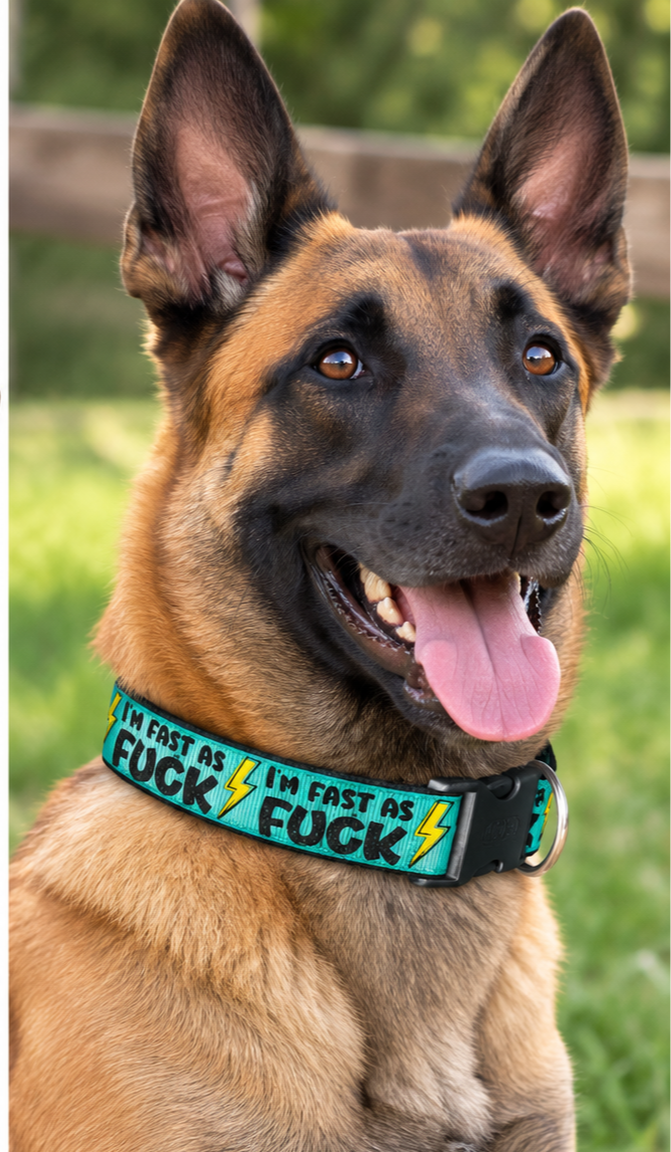"Fast as Fuck" Handmade Collar