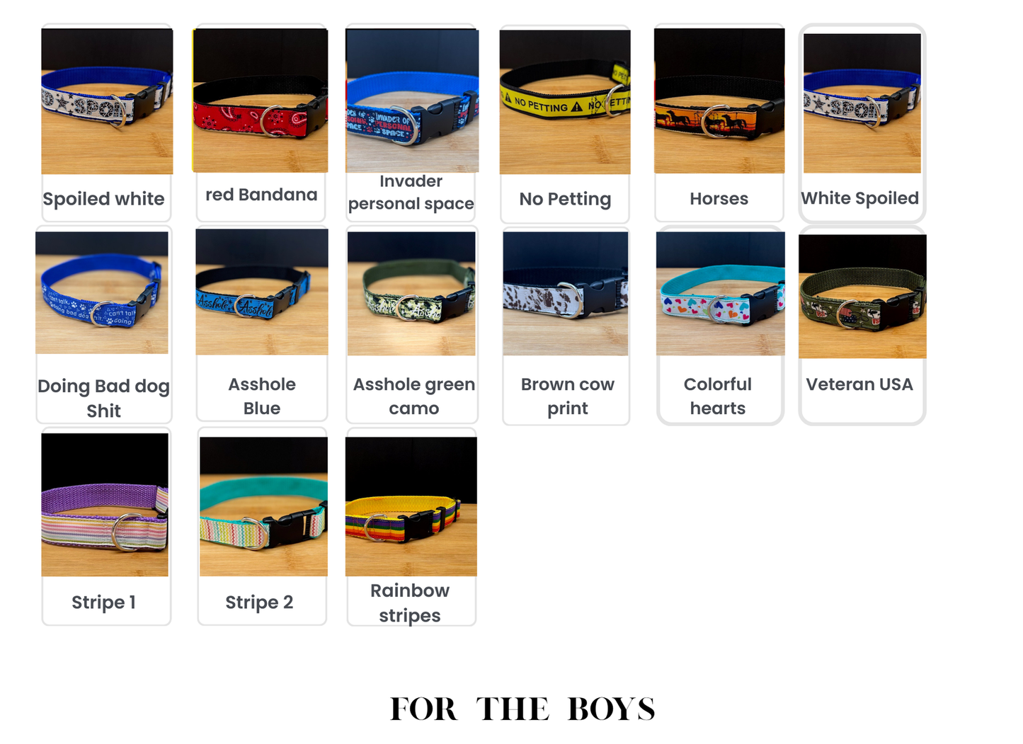 Stylish Collars and Leashes