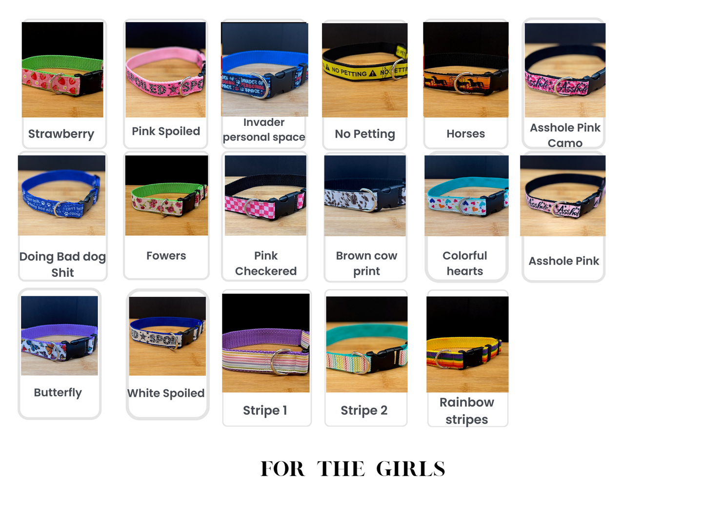 Stylish Collars and Leashes