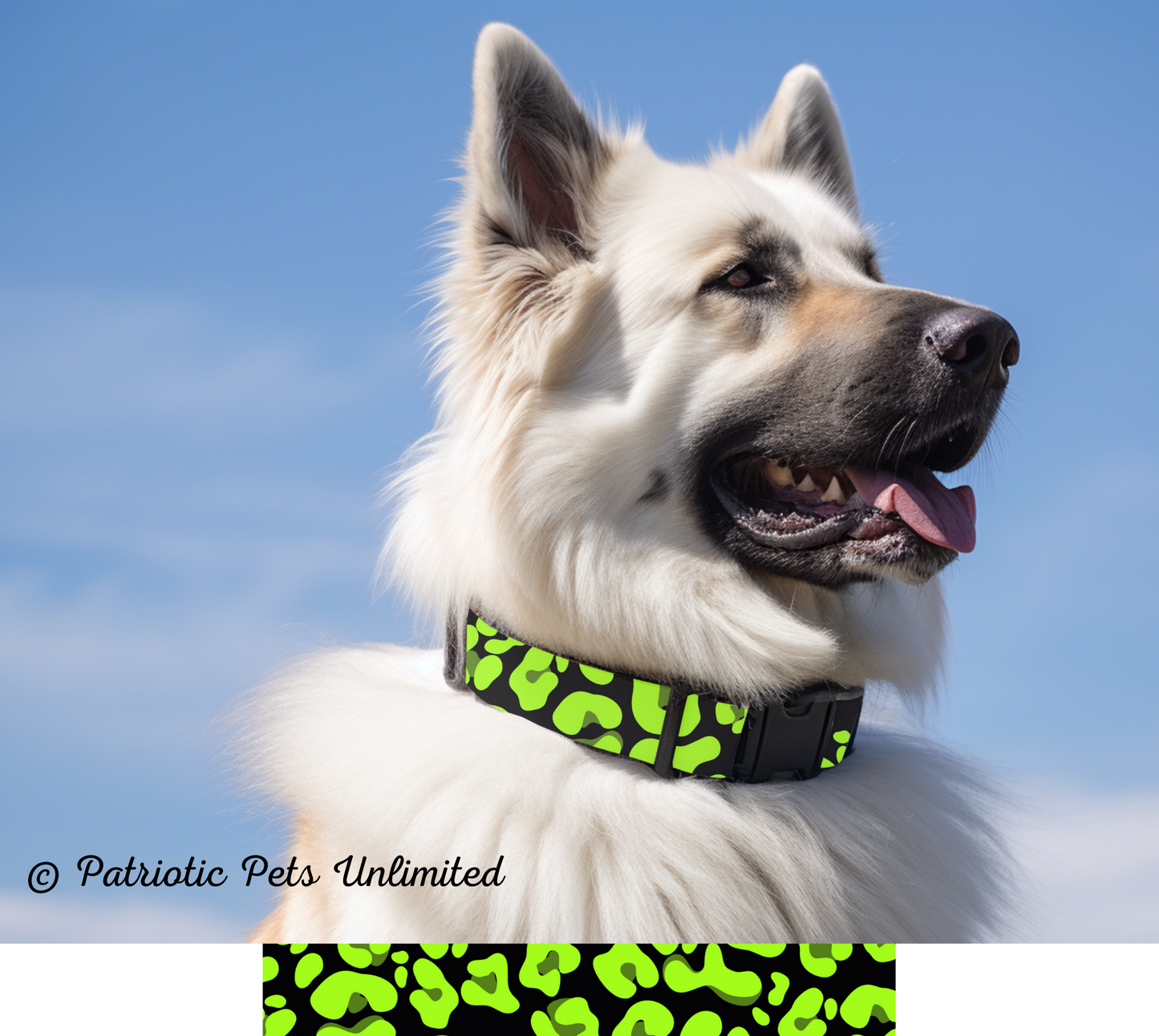 Green Leopard Designer Collar