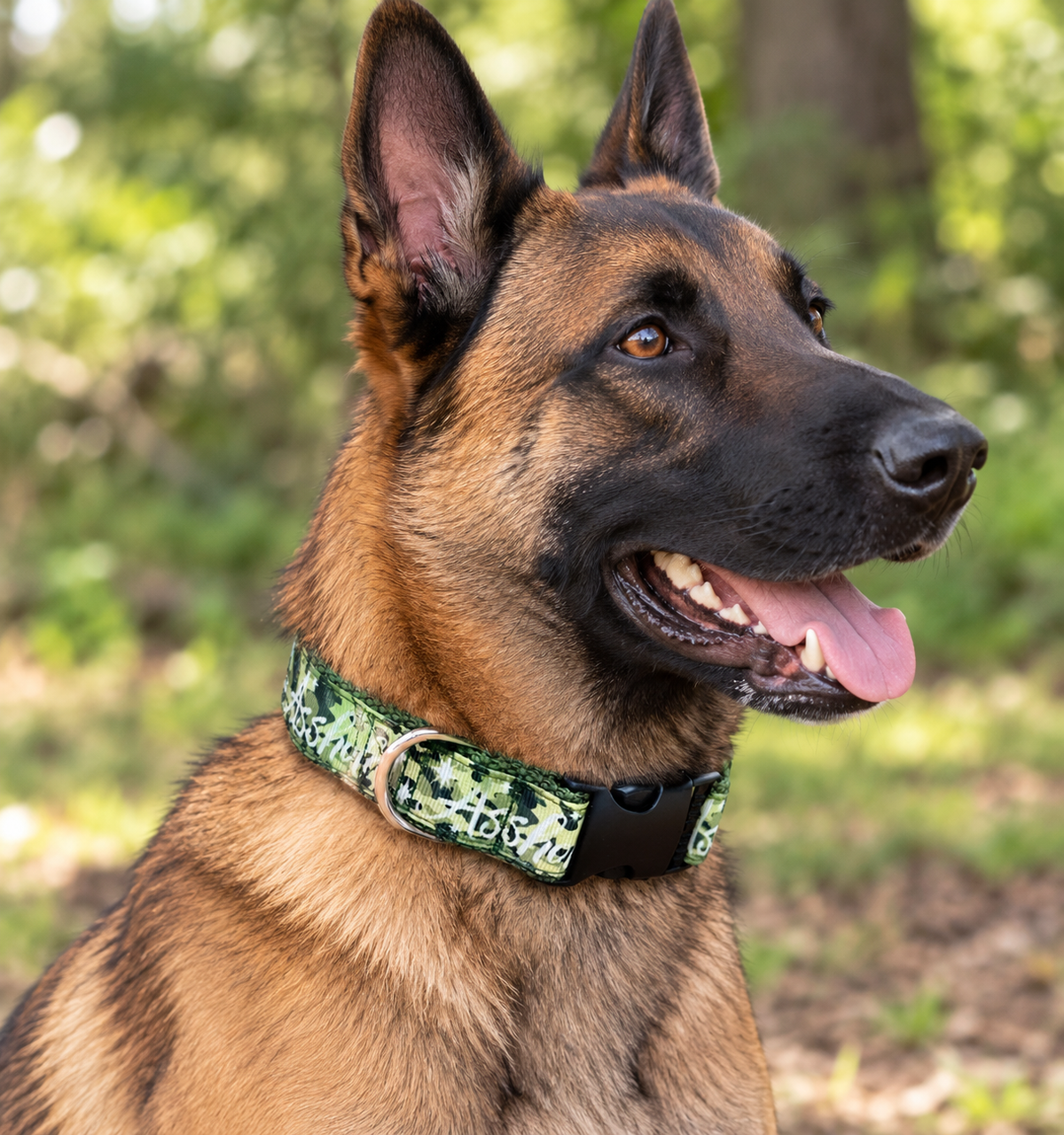 "Asshole Camo Green" Handmade Collar