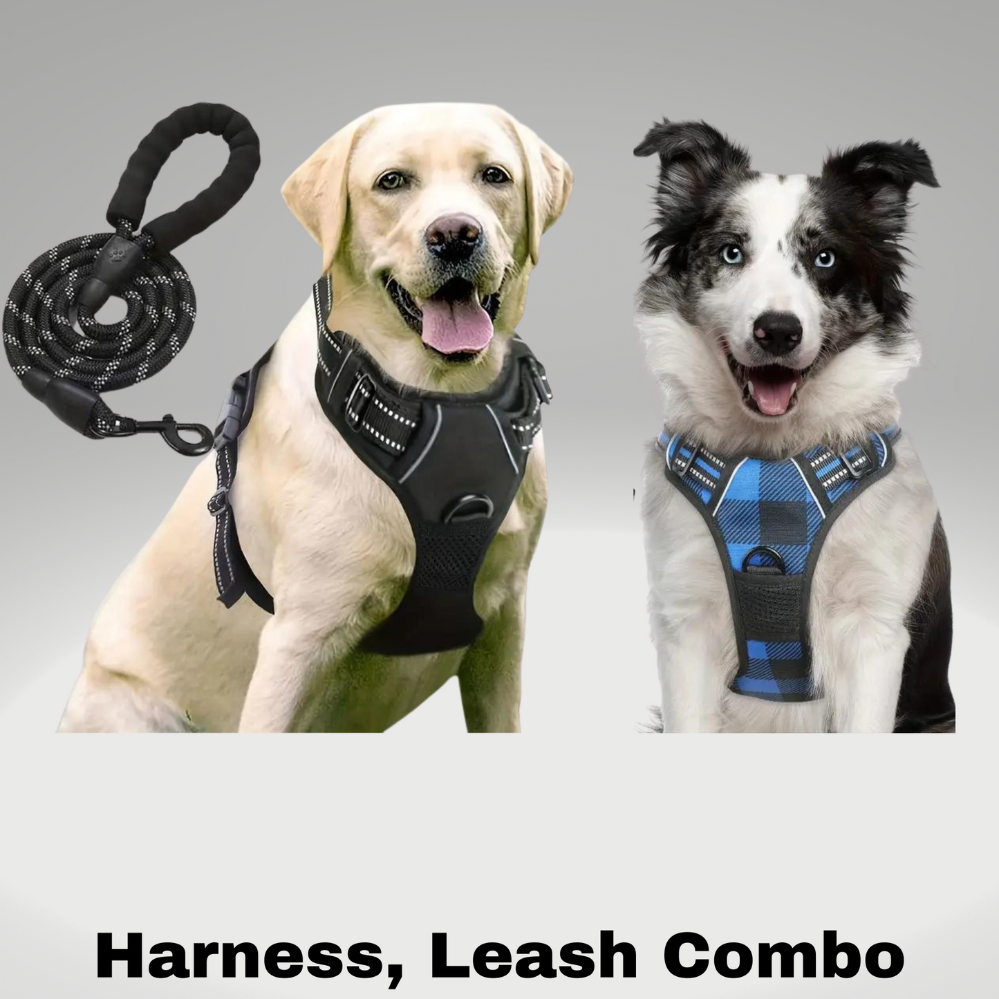 2 piece harness bundle