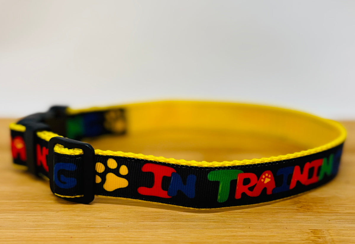 "In Training" Handmade Collar