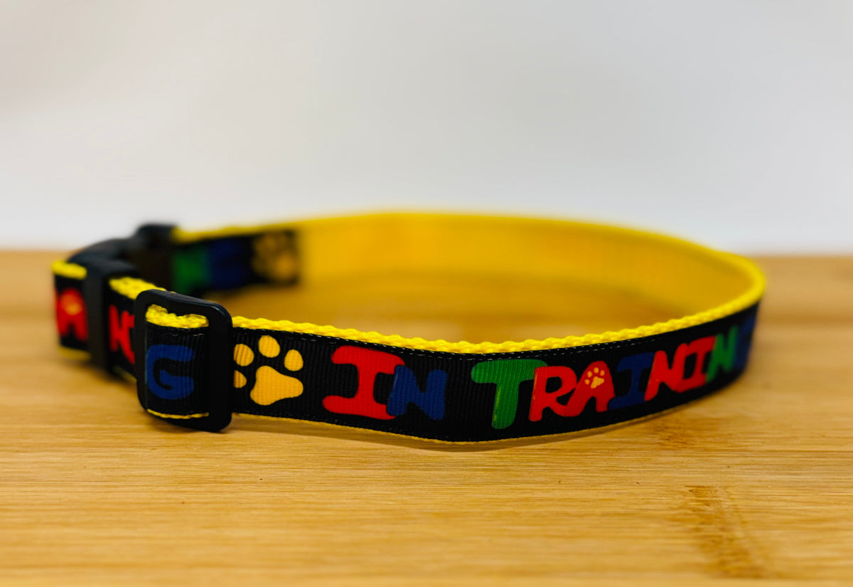 "In Training" Handmade Collar
