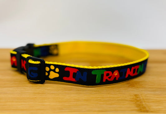 "In Training" Handmade Collar