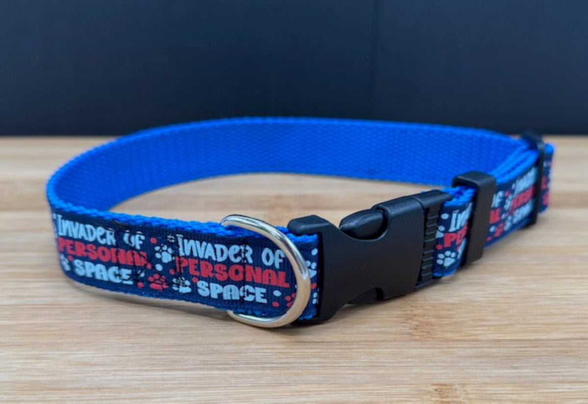 "Invader of Personal Space" Handmade Collar