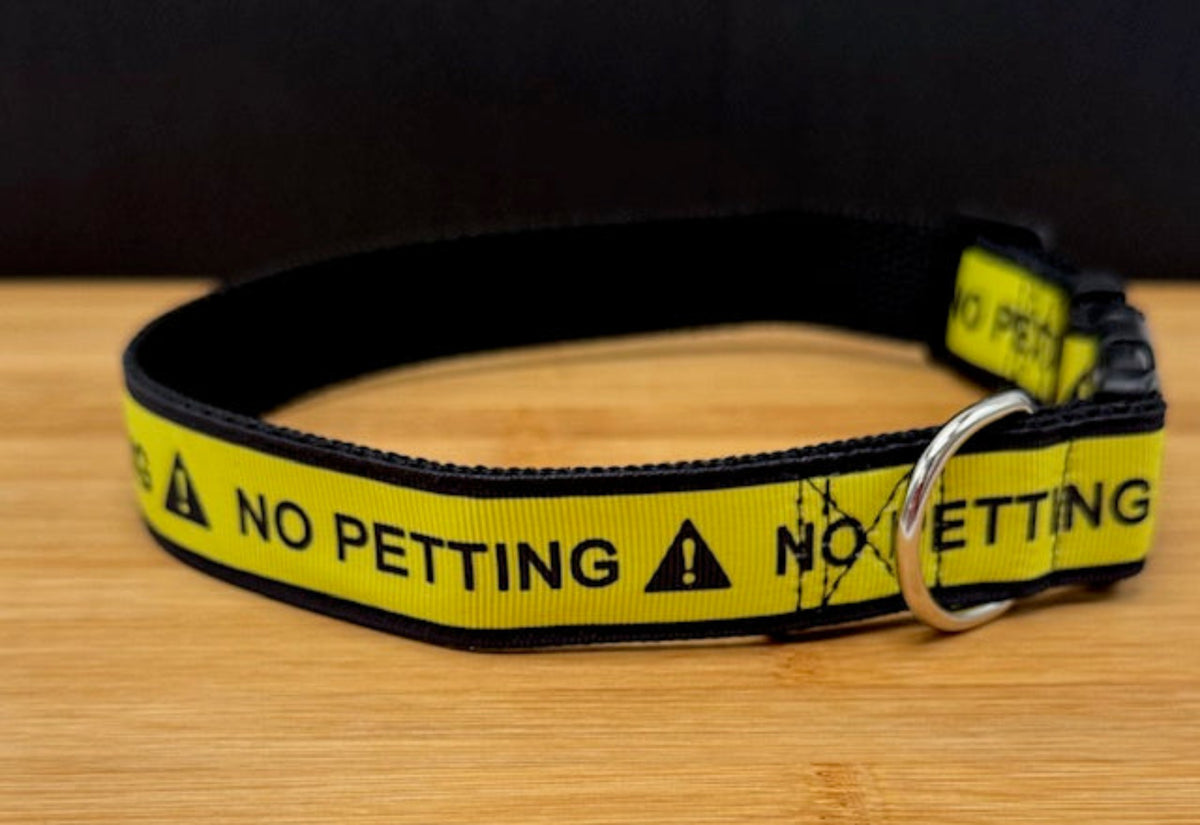 "No petting" Handmade Collar