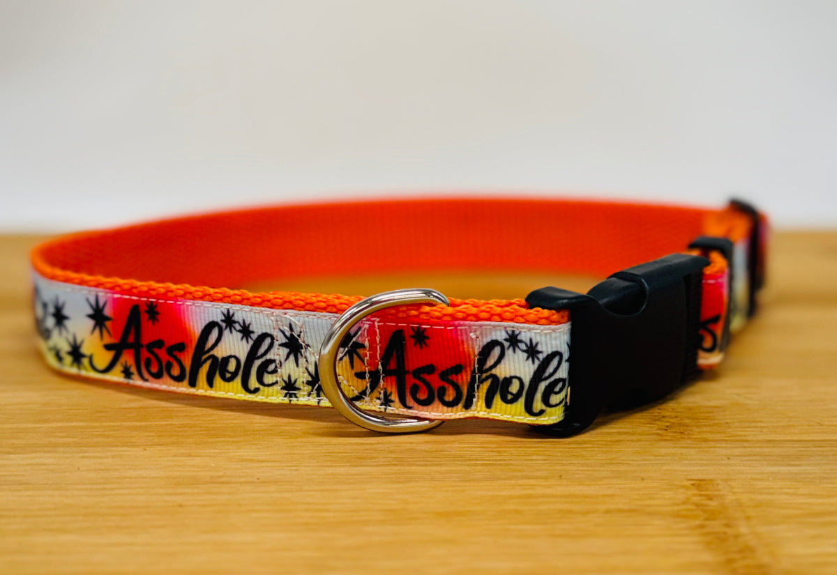 "Asshole Colorful" Handmade Collar