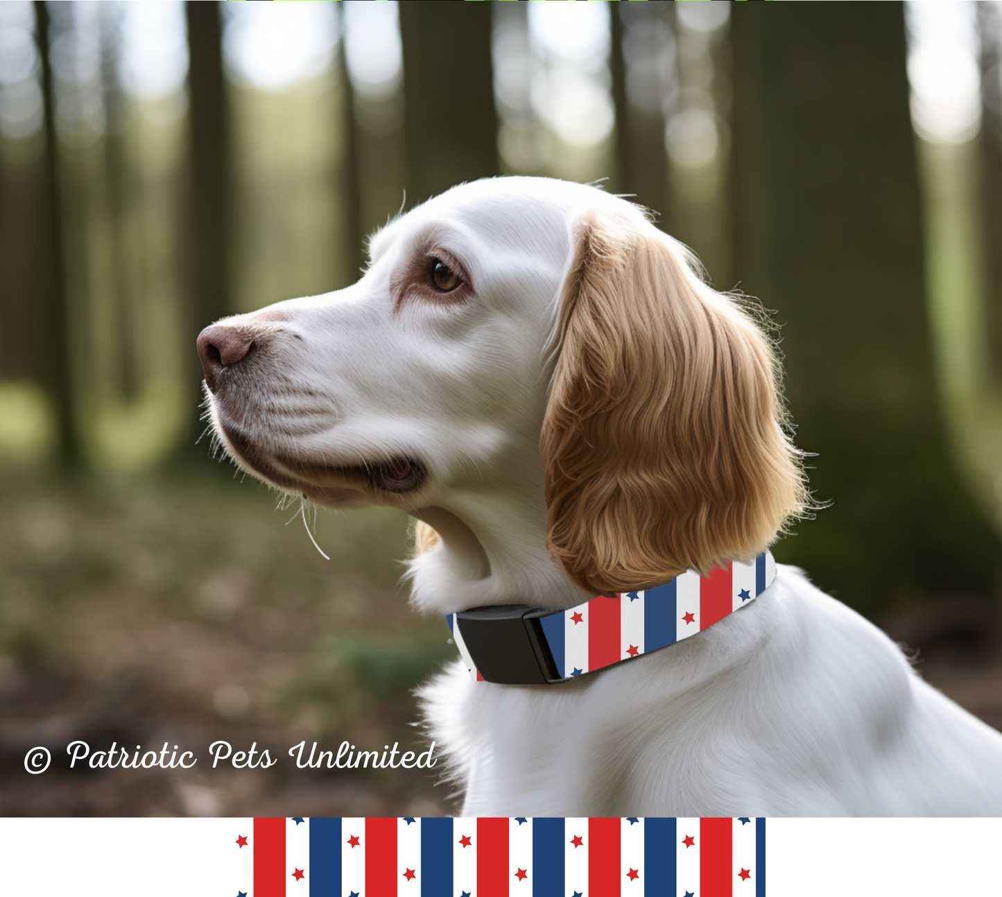 Stars & Stripes Designer Collar