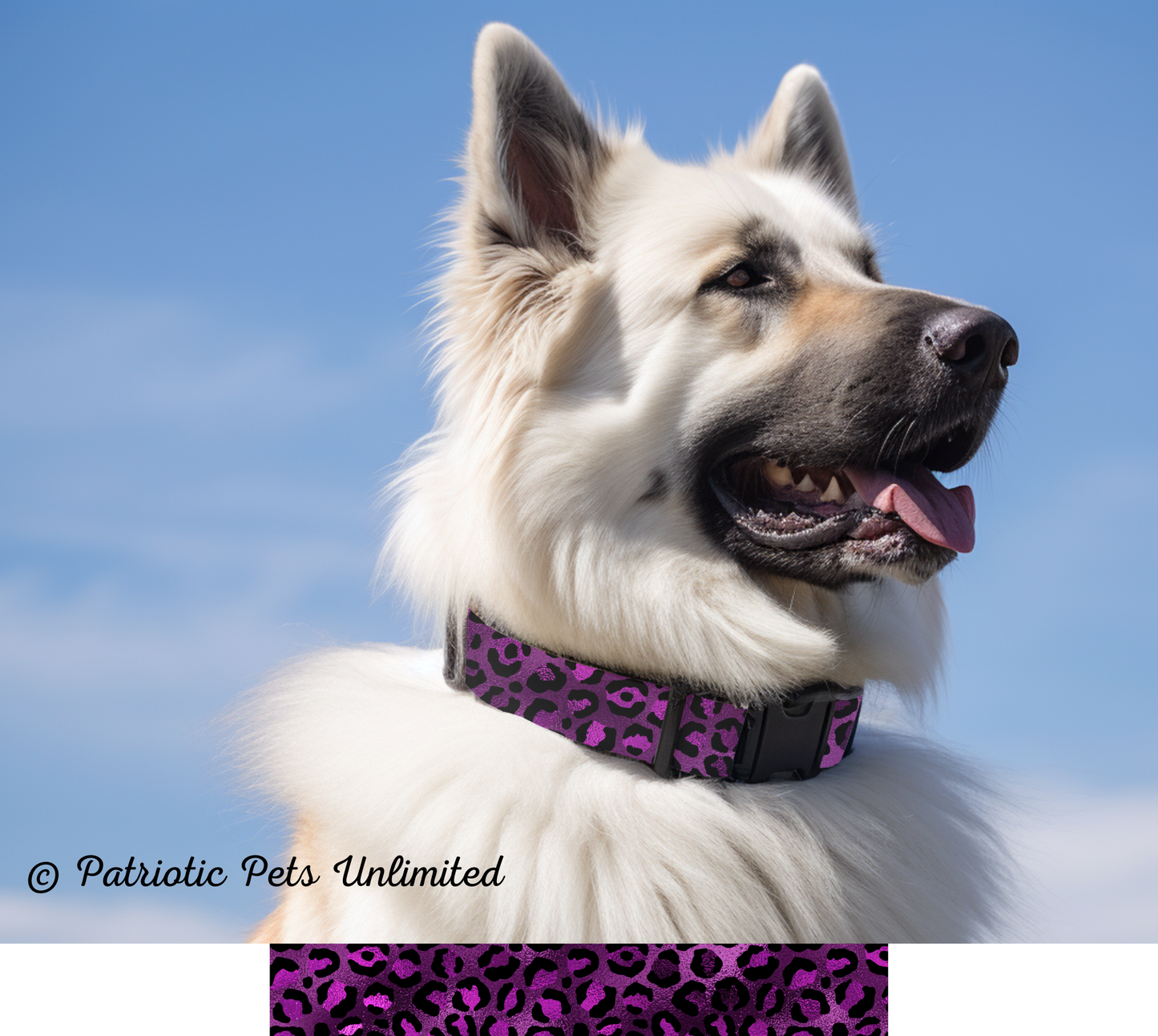 Purple Leopard Designer Collar