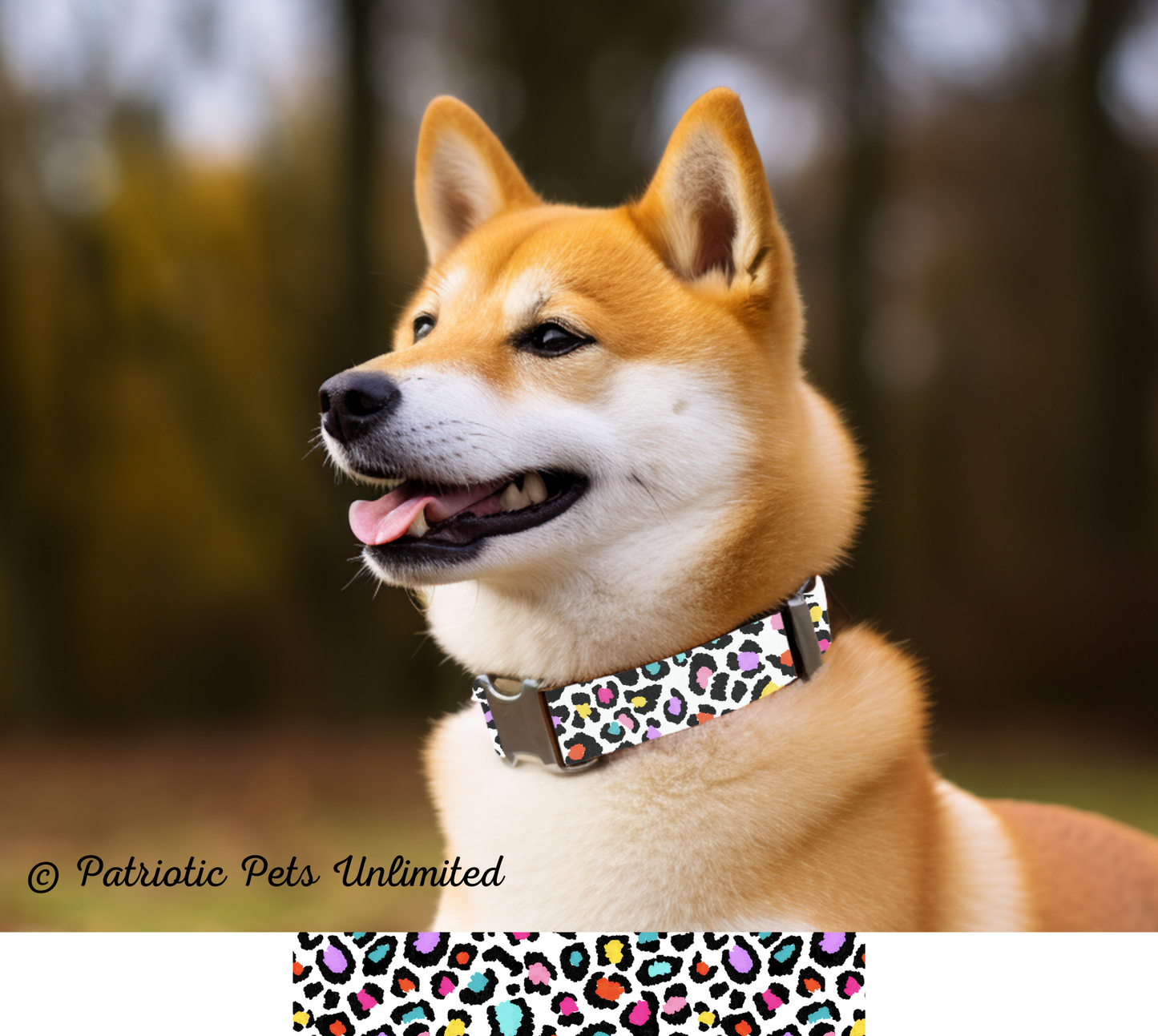 Rainbow Leopard Designer Collar