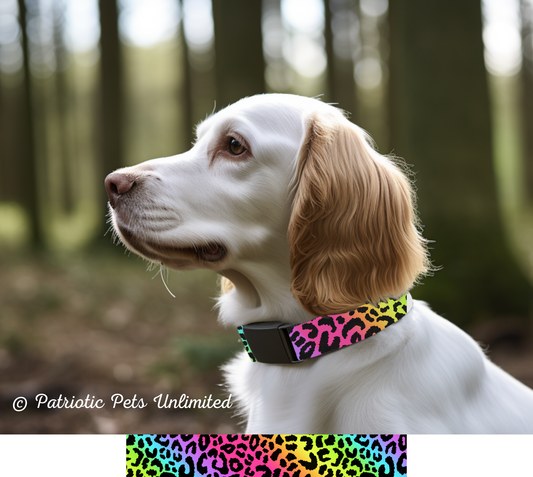 Rainbow Leopard 2 Designer Collar