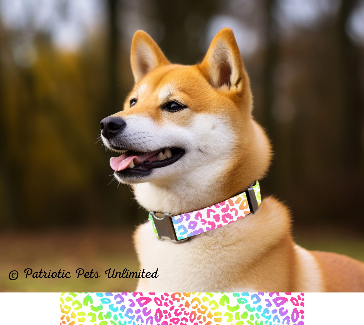 Rainbow Leopard 3 Designer Collar