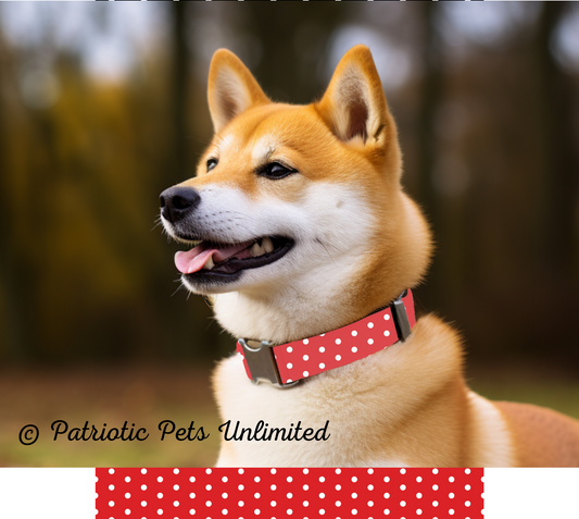 Red & White Polka Dots Designer Collar