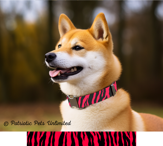 Red Zebra Designer Collar