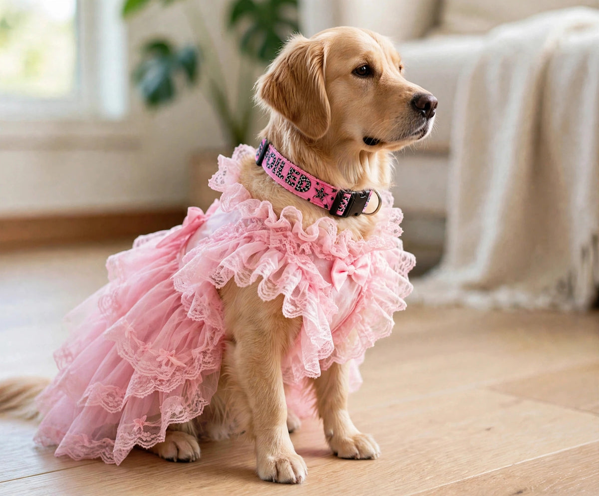 "Spoiled Pink" Handmade Collar