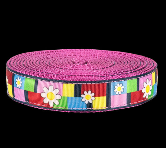 Spring Daisy Dog Collar