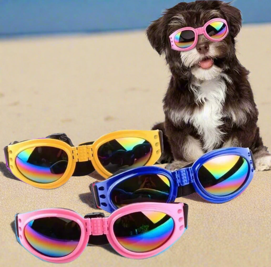 Foldable UV Sunglasses