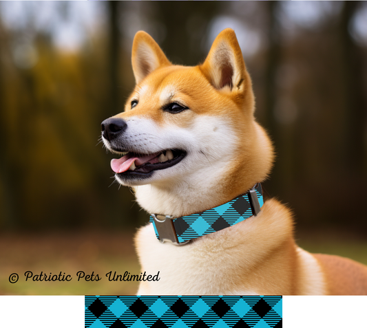 Turquoise Plaid Designer Collar